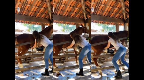 horsefuck me|Curvy woman endures real horse cock into her vagina .